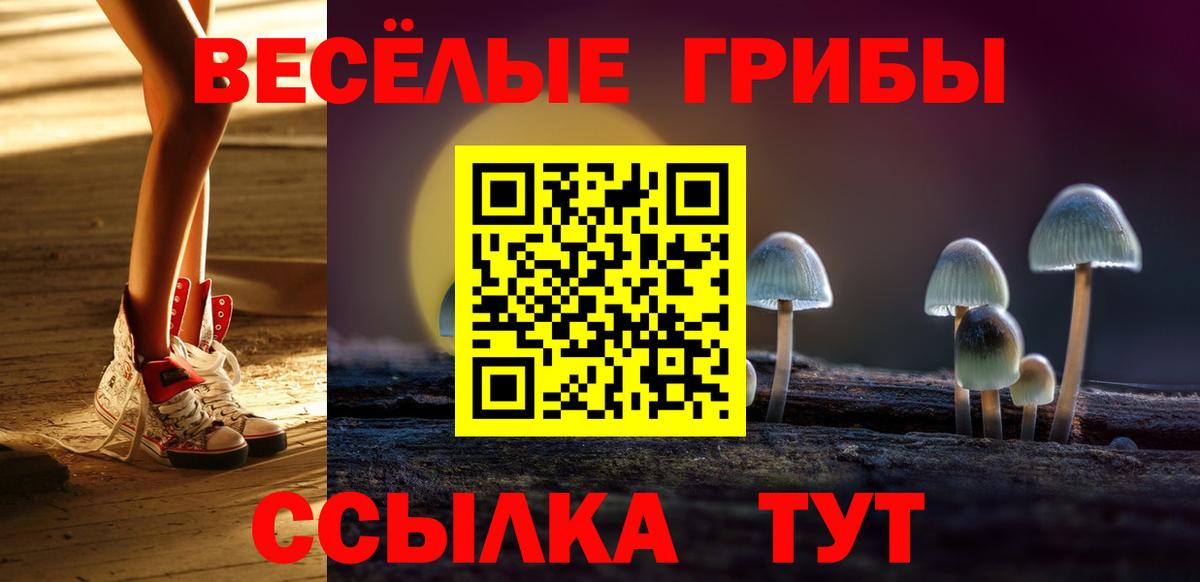 Галлюциногенные грибы GOLDEN TEACHER  наркошоп  Кимры  Галлюциногенные грибы Psilocybine cubensis  Вход с VPN 