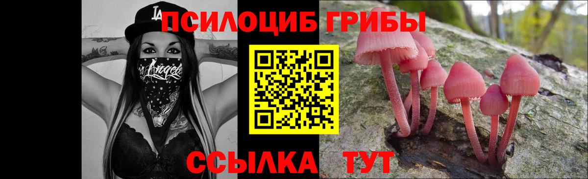 Галлюциногенные грибы Magic Shrooms Кимры